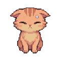 soggy kitten