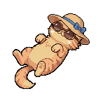 kitten sunbathing in a sunhat and sunglasses