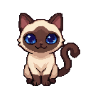 Diva, a Siamese pixel kitten posing elegantly